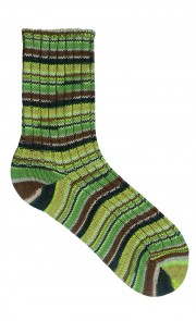 Gottardo Special Blauband