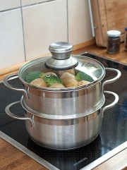 Bio-Dampf-Kocher Ø 18 cm