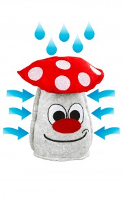 Raumentfeuchter Pilz