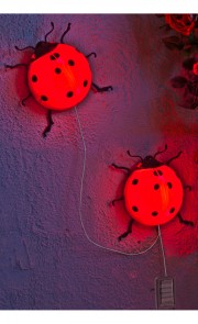 LED Marienkäfer Solar