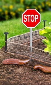 Schneckenstopp 2er-Set