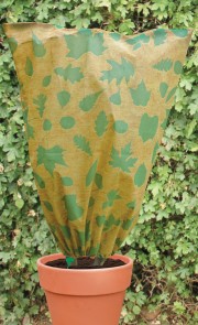 Pflanzenschutz Blätter