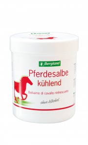 Pferdesalbe kühlend